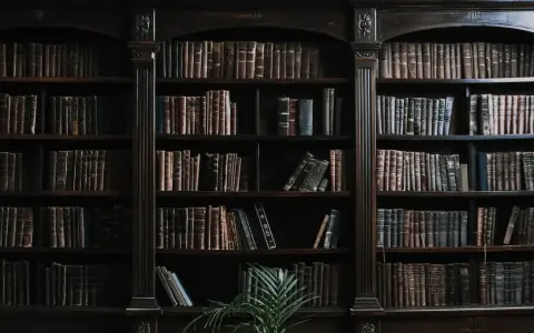 Estanterías repletas de libros antiguos, evocando la espera del **envío de manuscritos a editoriales** para su publicación.