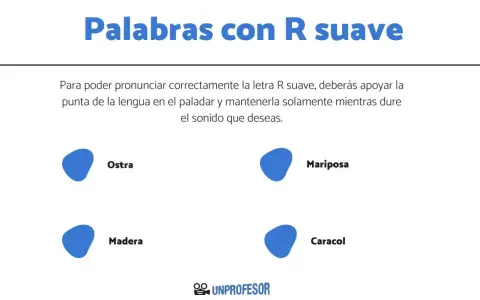 Ejemplos de palabras con R suave: ostra, mariposa, madera, caracol. Aprende a pronunciar la R suave.